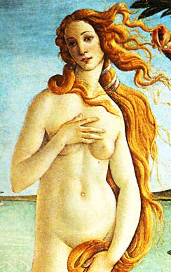 Boticelli's elongated, sloping
line in Venus's neck and shoulder